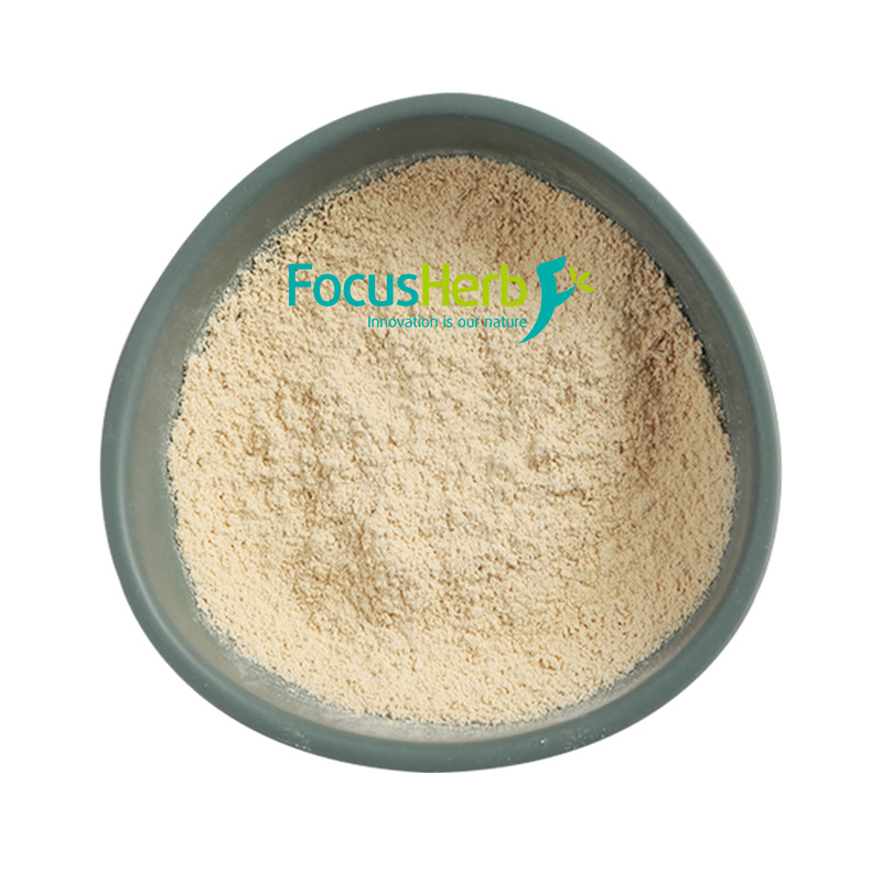 Organic Pea Protein Powder
