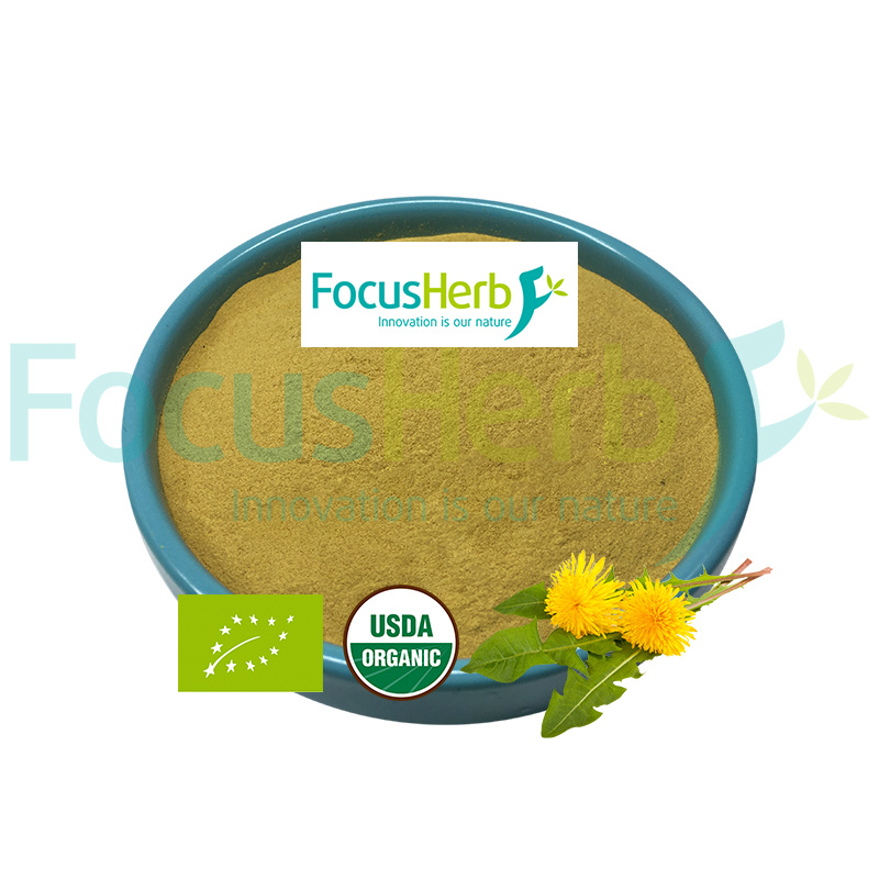 Organic Dandelion Powder: Immune Reinforcements from the Field  | FocusHerb