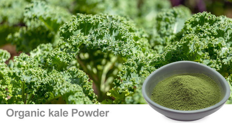 Organic Kale Powder