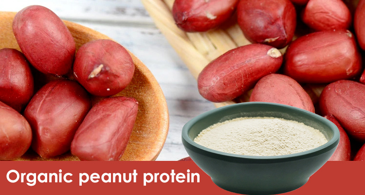 Organic Peanut Protein Powder