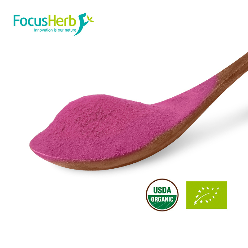 Organic Blueberry Powder