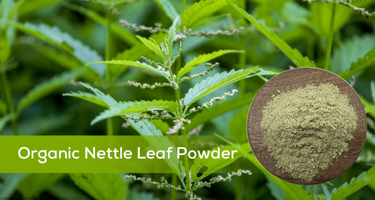 Organic Nettle Leaf Powder