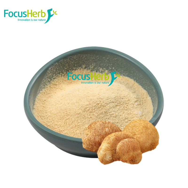 Organic Lion's Mane Extract