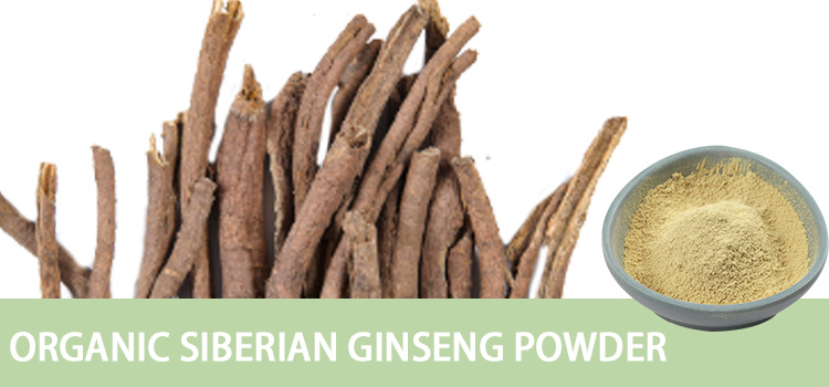Organic Siberian Ginseng Powder
