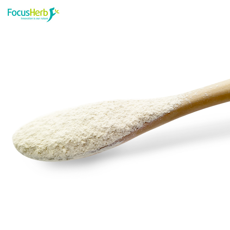 Organic Peanut Protein Powder