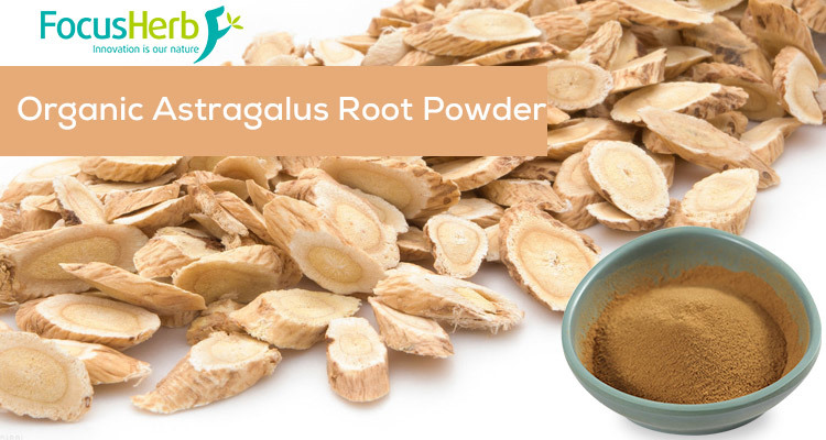 Organic Astragalus Root Powder