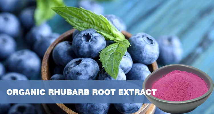 Organic Blueberry Powder