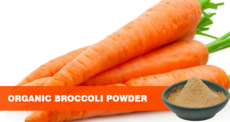 Organic Carrot Powder