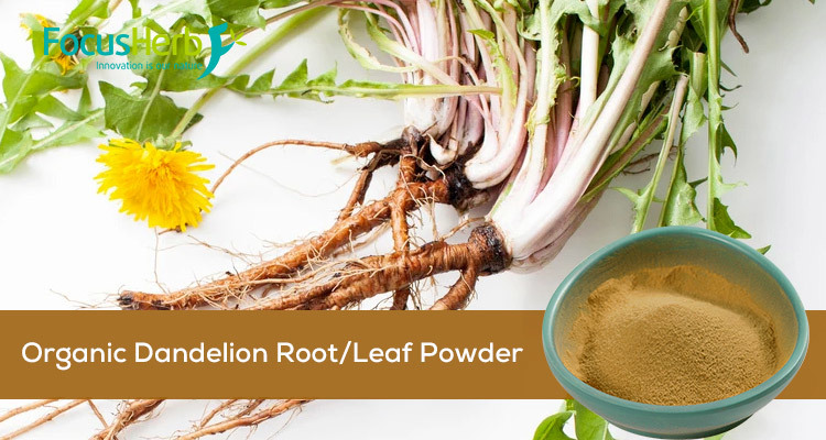 Organic Dandelion Powder