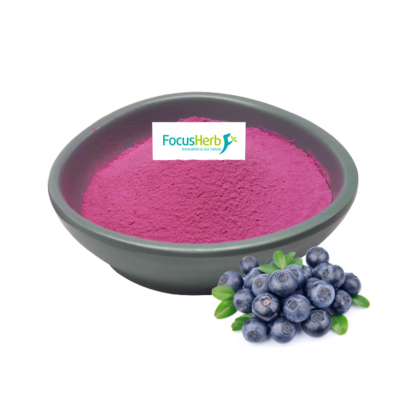 Organic Blueberry Powder