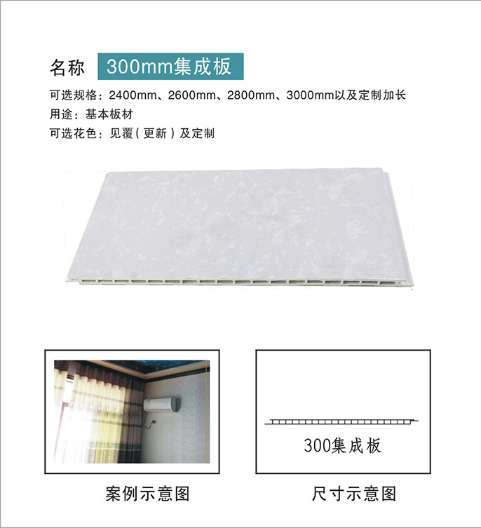 300mm集成板