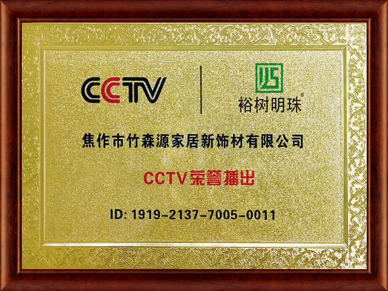 CCTV榮譽(yù)