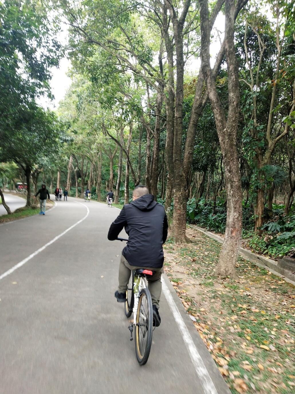 Cycling on the tree-lined asphalt road is very pleasant.