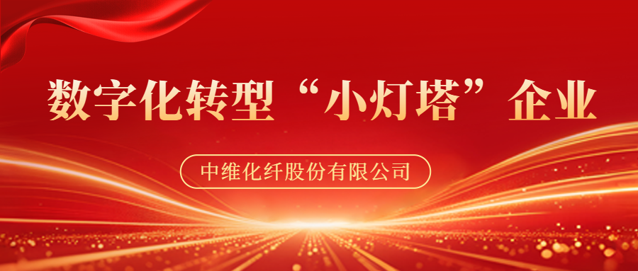 喜讯！中维成功入选2025年河南省数字化转型“小灯塔”企业