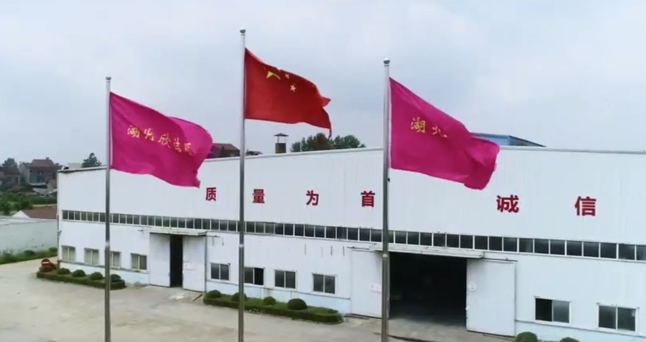 视频标题 视频标题