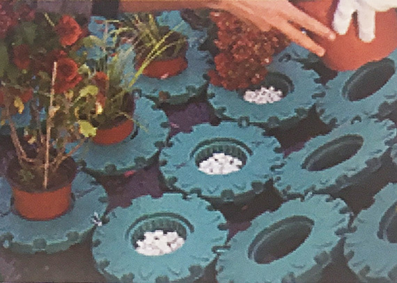 晶瑞特