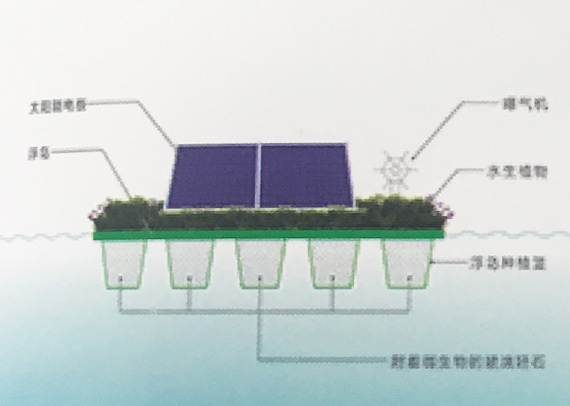 晶瑞特
