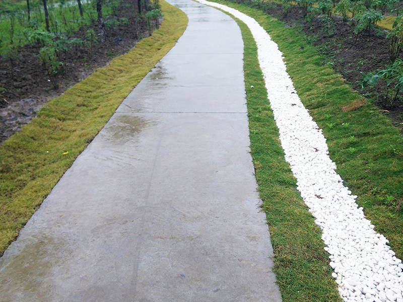 植草雨水溝
