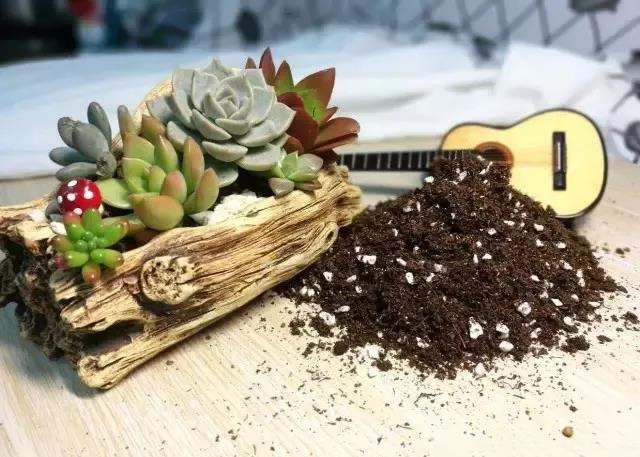 晶瑞特