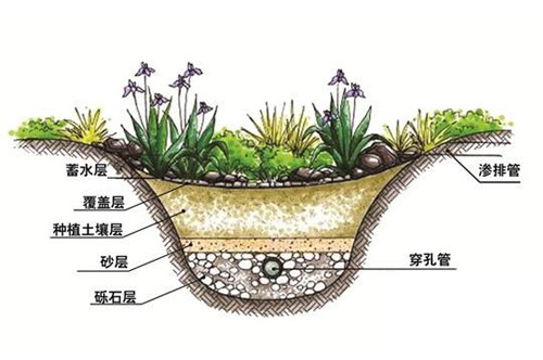 晶瑞特