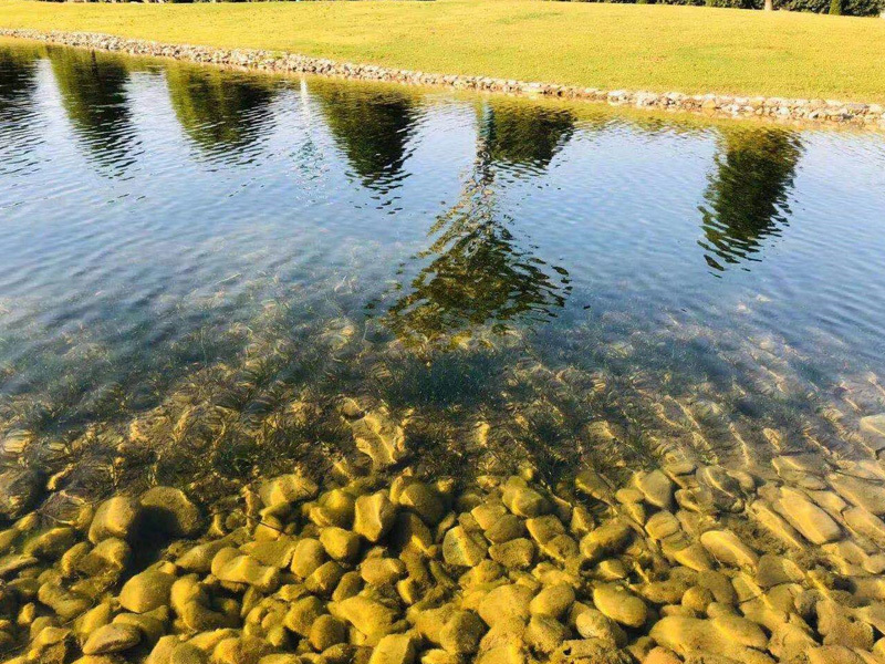 生態(tài)水處理