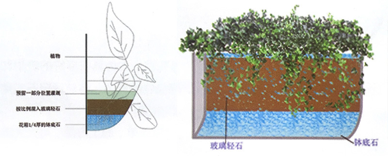 晶瑞特