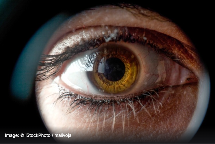 Continuous supplementation with carotenoids may further boost eyehealth: Study