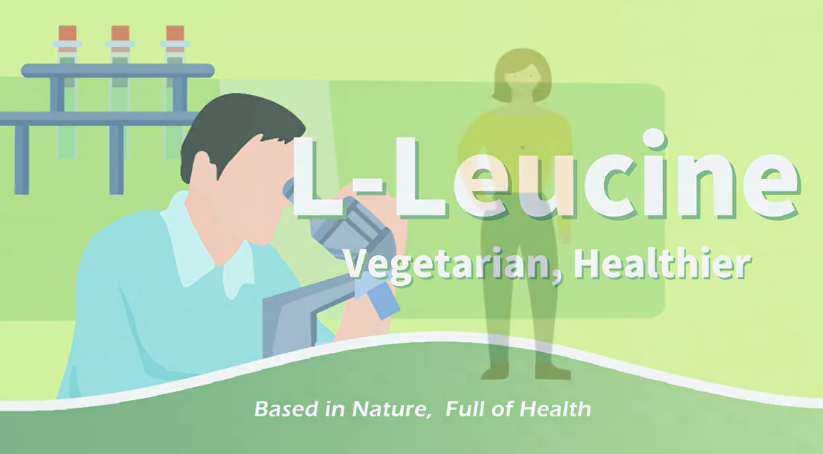 L-Leucine,Vegetarian,Healthier