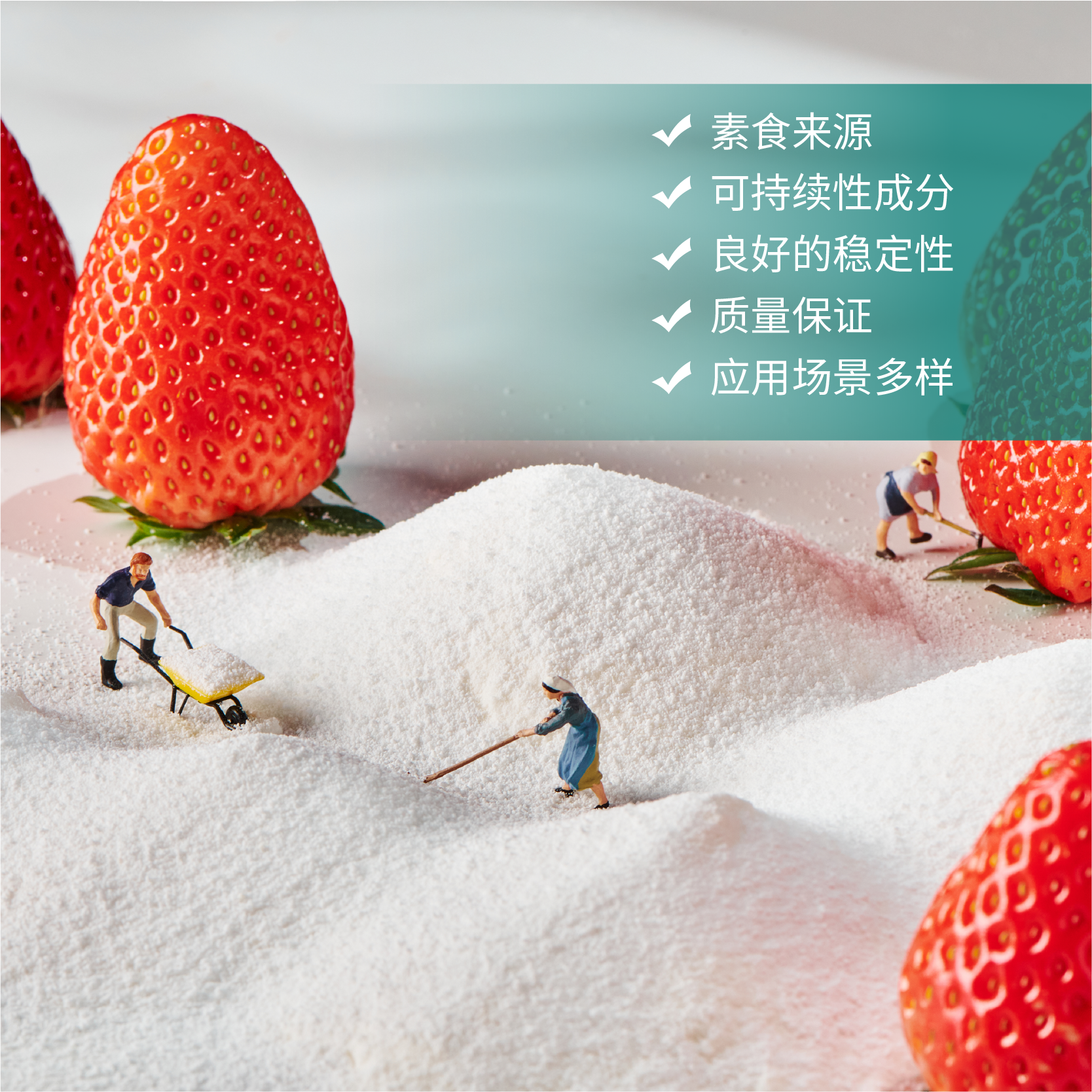 LocVita™ 植物源维生素D3