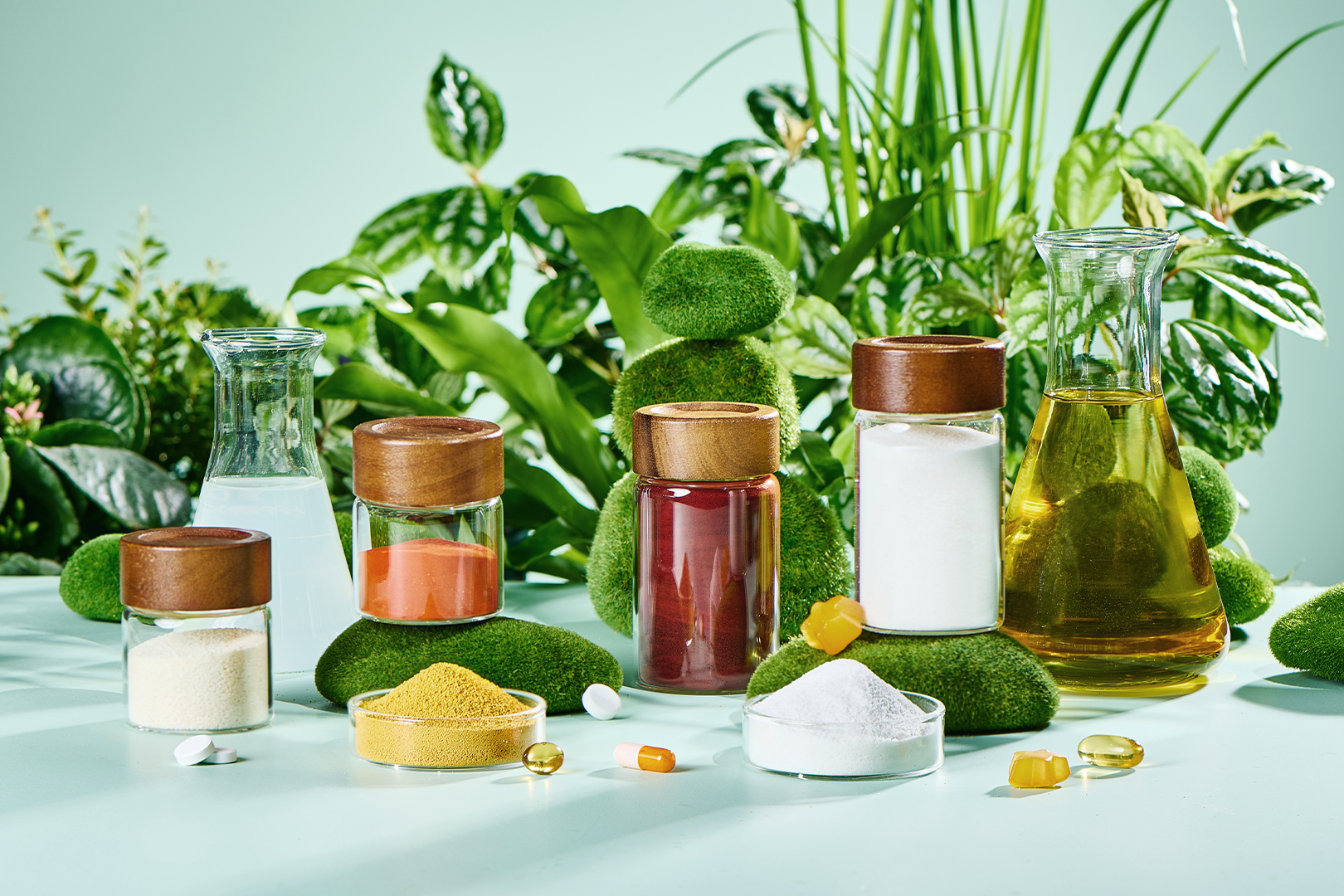 BCAA Powder: Your Ideal Supplement for Muscle Support