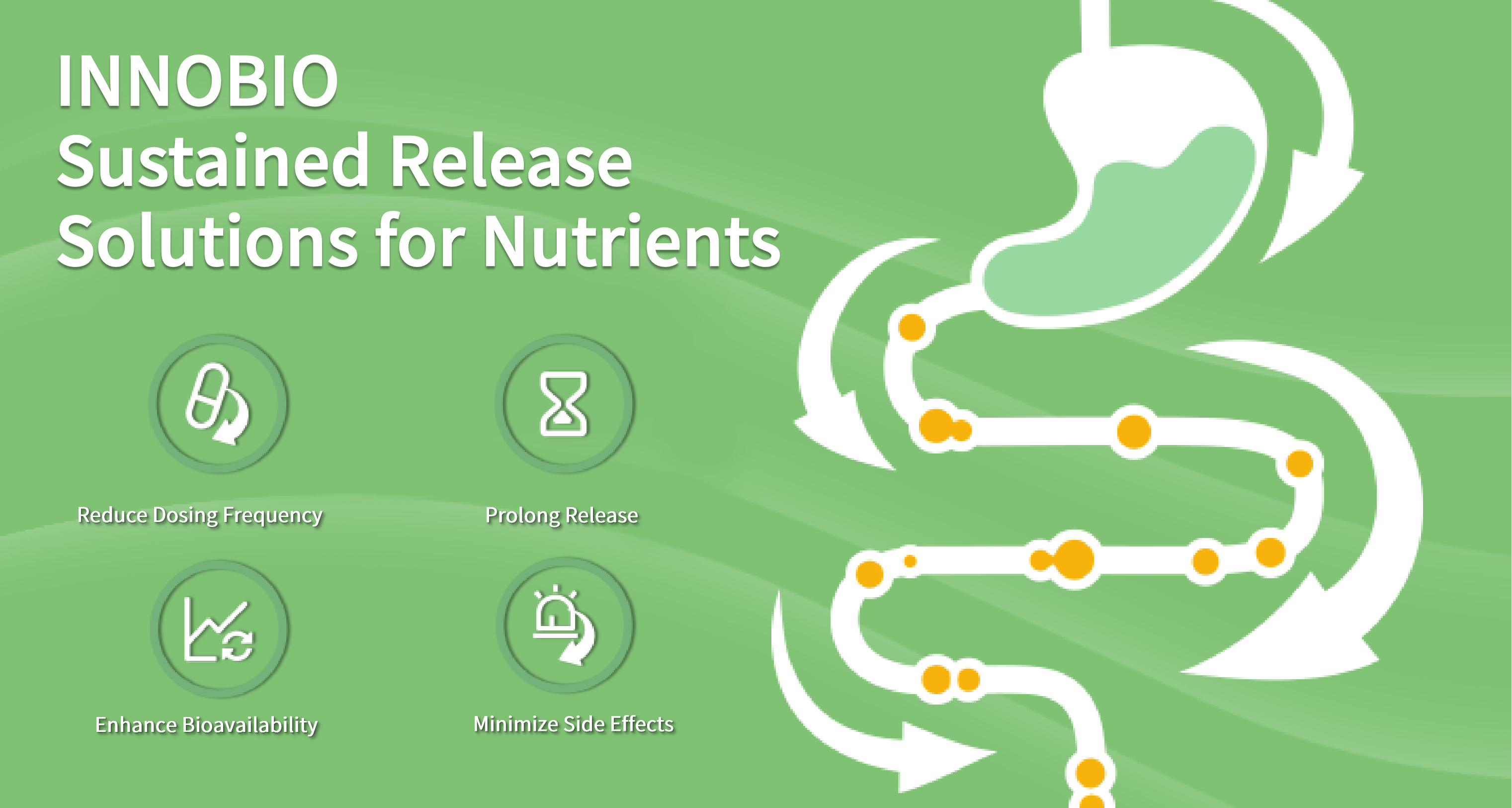 Sustained Release Solutions: Efficient and Prolonged Release