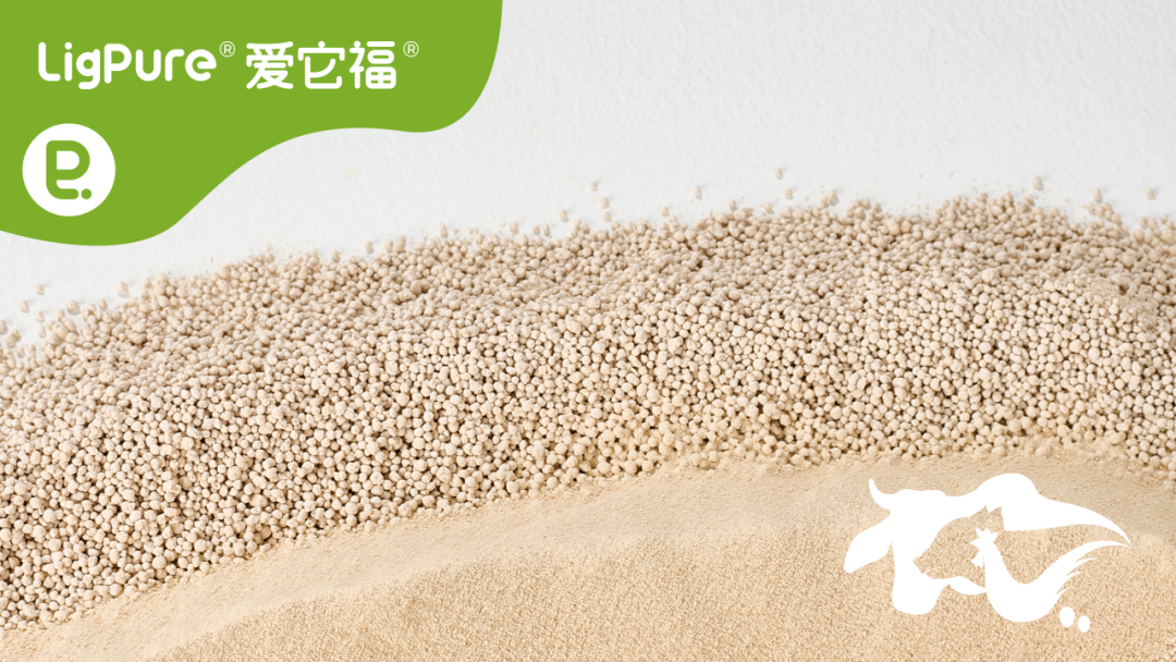 快问快答 | 关于爱它福®异亮氨酸颗粒