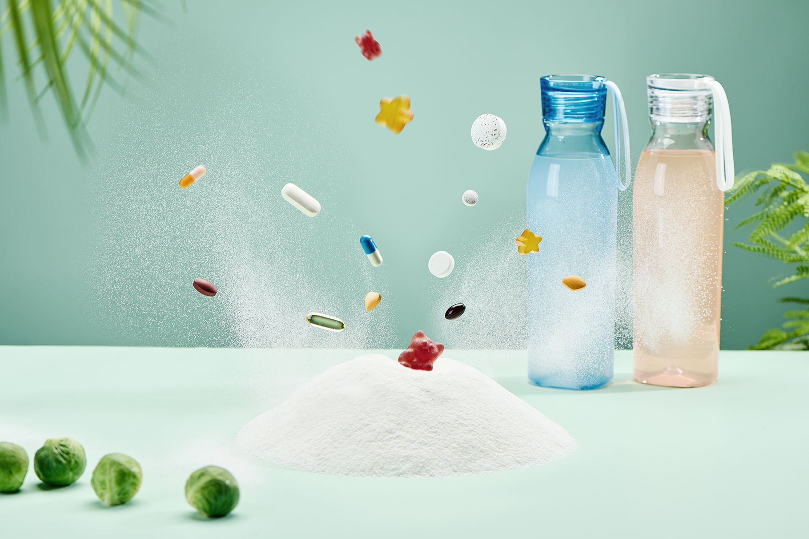 CLA Powder Product Introduction