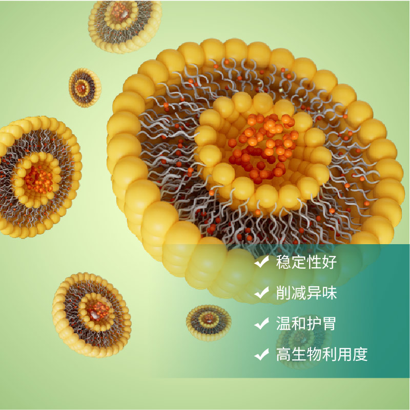 脂质体解决方案