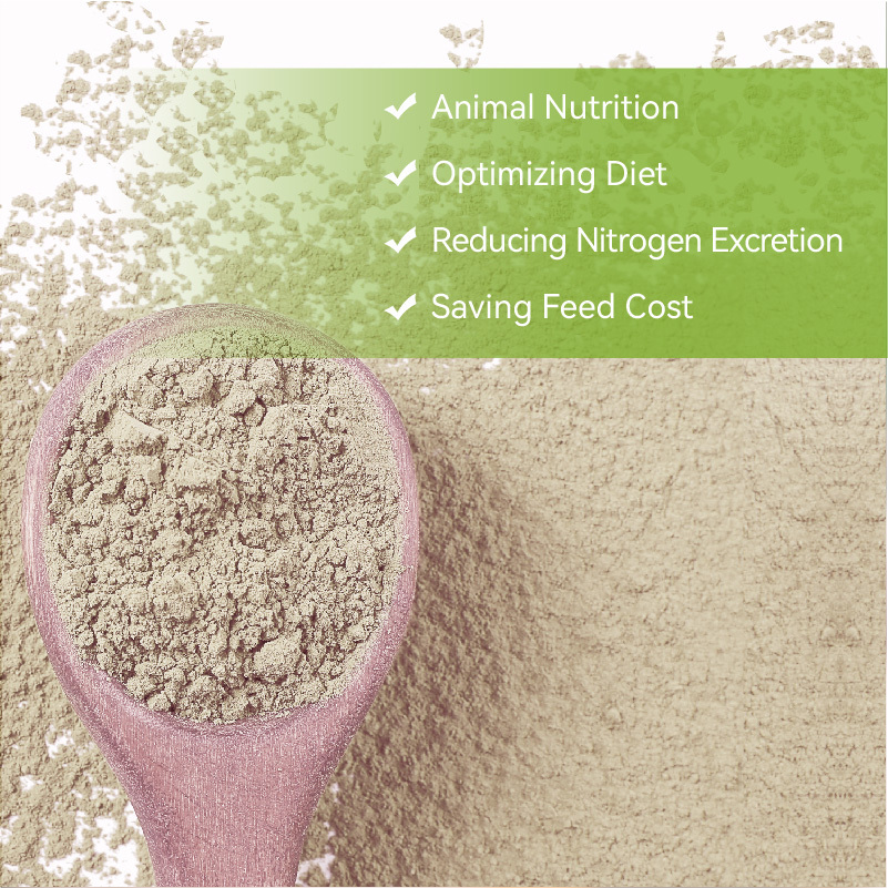 INNOBIO Launches High-Quality L-Isoleucine Powder for Feed Applications