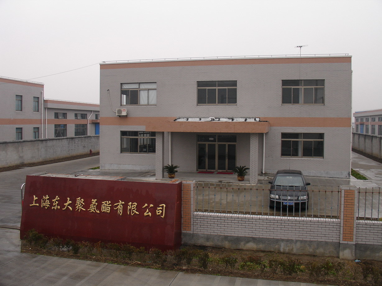 2005年