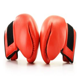 Boxing glove series
