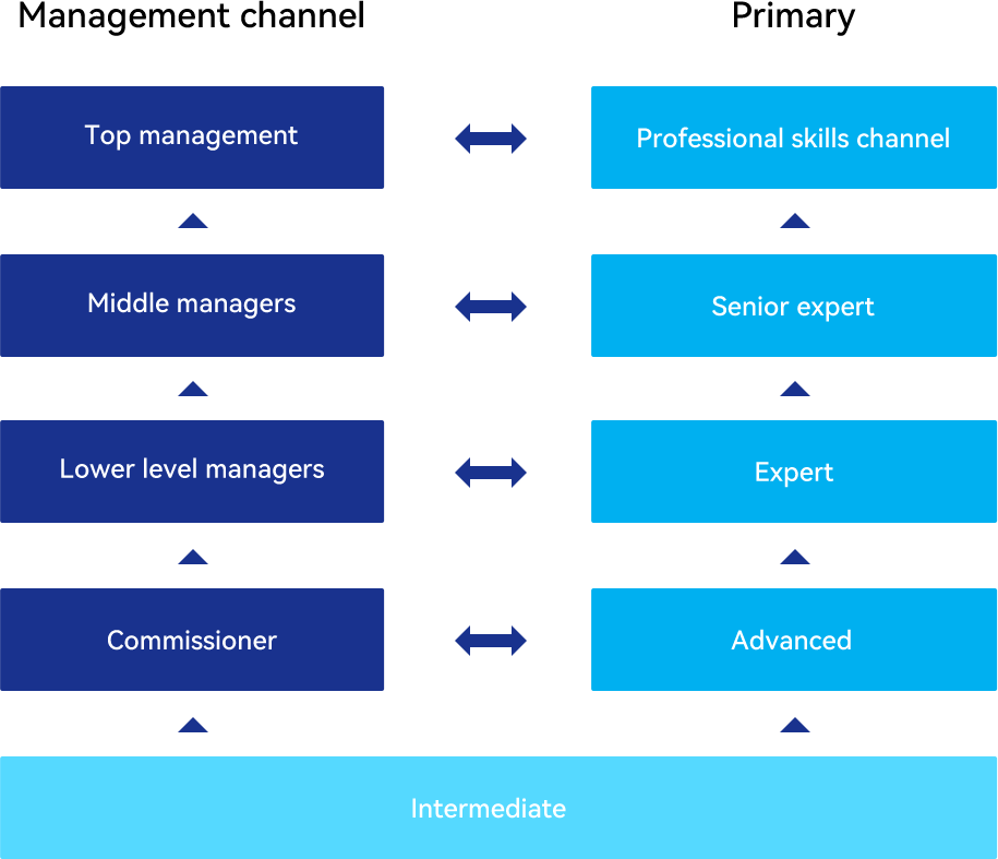 Dual-channel multi-level career path