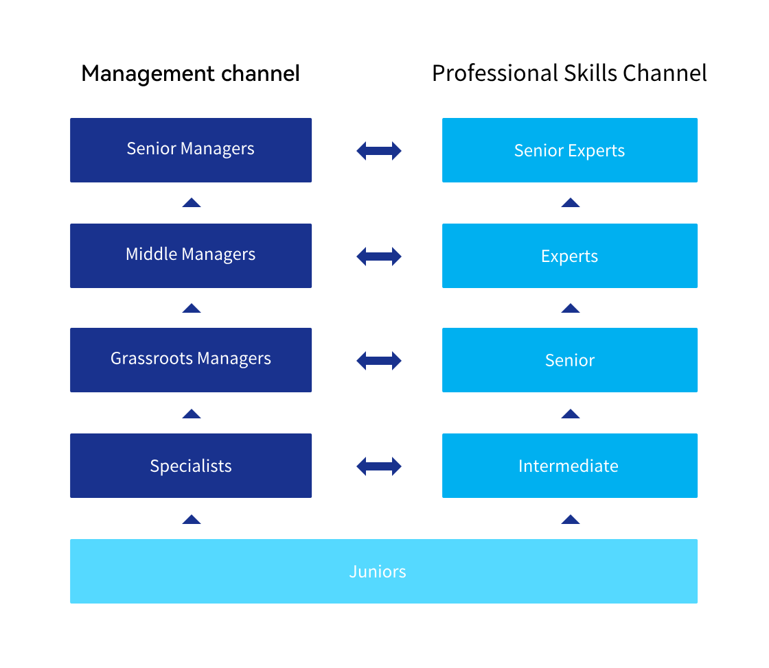 Dual-channel and Multi-rank Development Path Dual-channel and Multi-rank Development Path