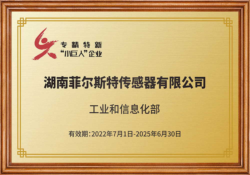 国家专精特新“小巨人”企业