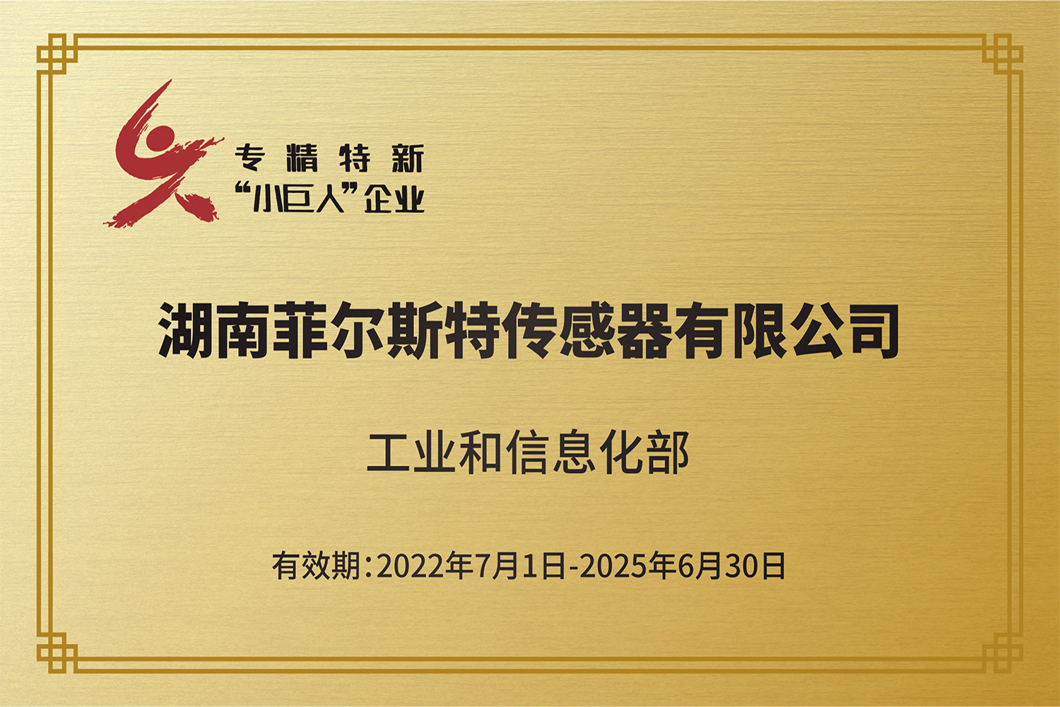 国家专精特新小巨人企业