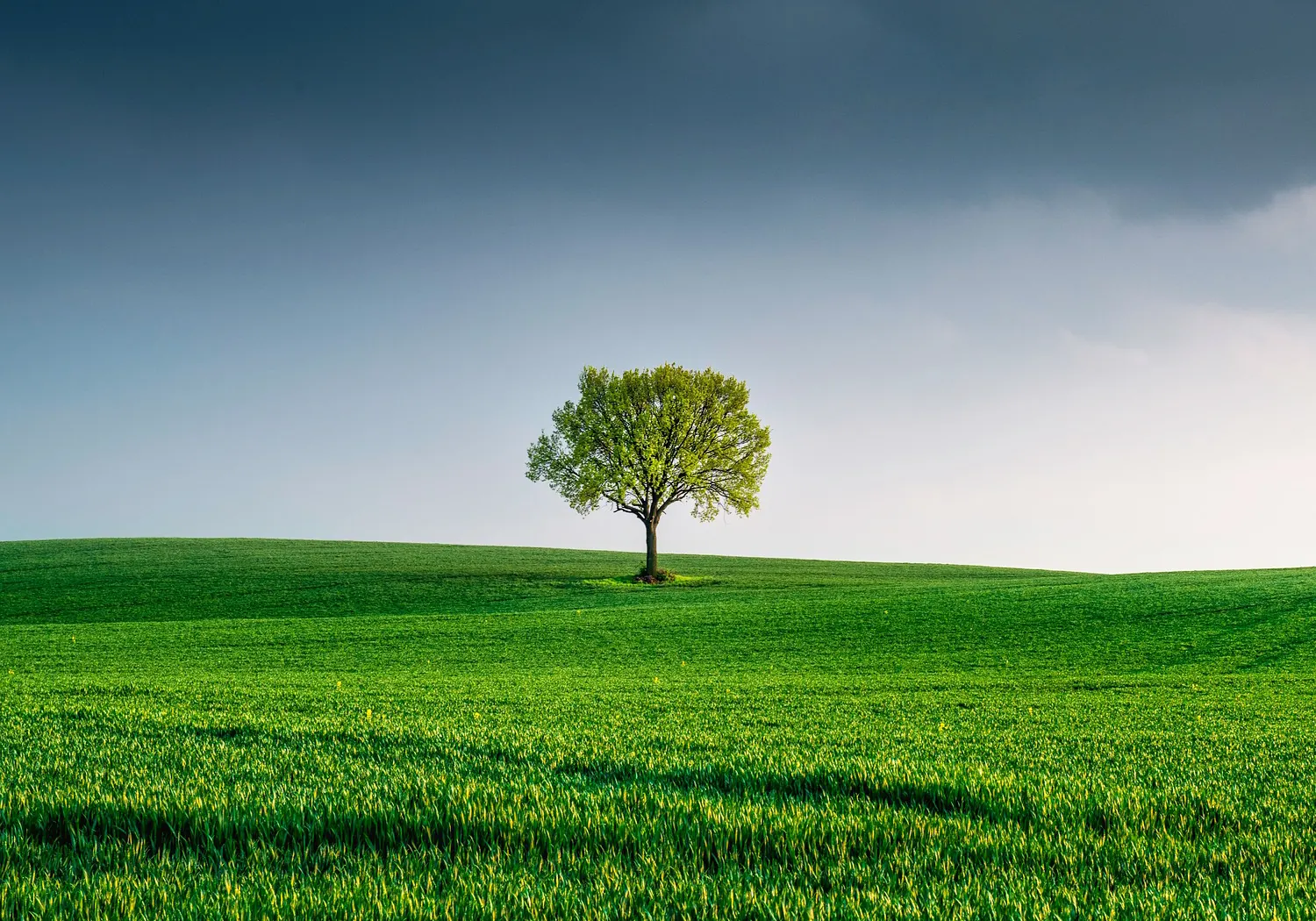 Smart Environment Solution