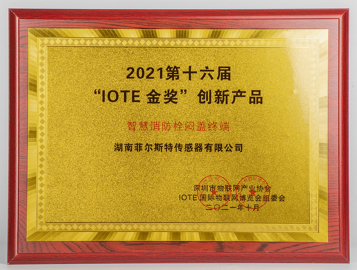 “IOTE金奖”创新产品