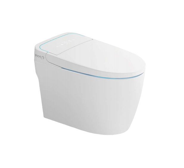 Bathroom Smart Toilets in Countries That Do Not Require Certification
