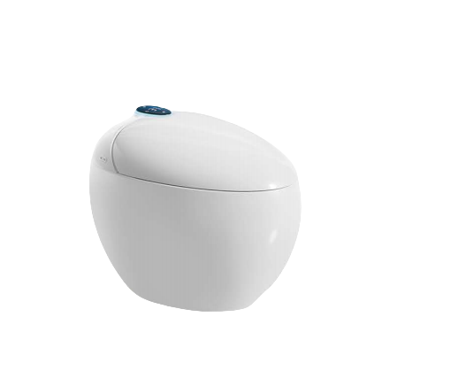 Luxury Floor Mounted  Egg Shaped Toilet Bowl Tankless Intelligent Smart Toilet
