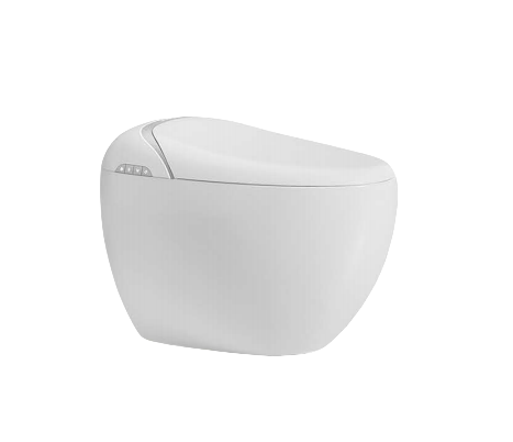Toilet Egg Smart Toilet Fully Automatic Bidet and Toilet Wc Smart Seat Sprayer for Bath