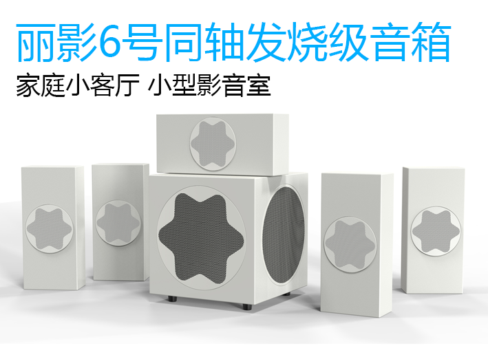 Raiying No. 6 Coaxial Fever-Class Speaker