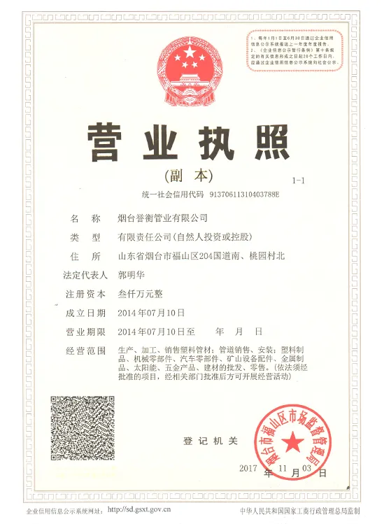 Business License