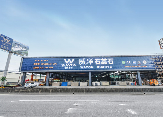 公司介绍