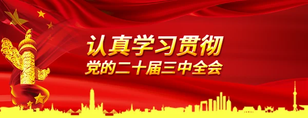学习贯彻党的二十届三中全会